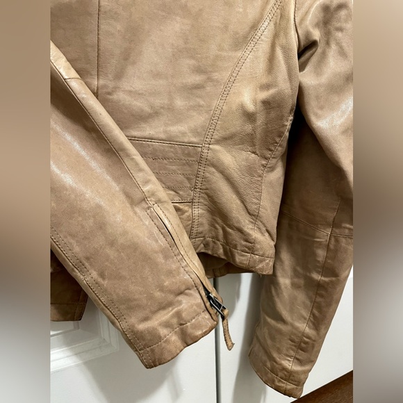 Miss Selfridge Cream Stud Leather Jacket ~ Real Leather S - Picture 4 of 5